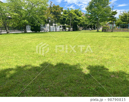 芝生のある風景 芝生のある風景 98790815