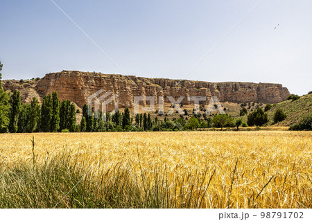 View of Hoces gorges del Rio Riaza Natural Reserve near Segovia in Spain 98791702