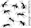 ant, insect, crawling, black, vector, drawing, silhouette, eyes, design, symbol, picture, isolated, illustration, large, abdomen, paws, nature, realism 98792171
