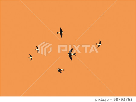 イワツバメ06飛翔夕焼け 98793763