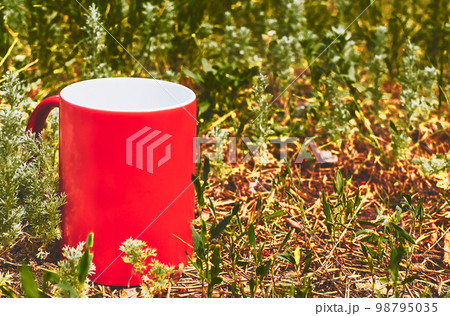 Red ceramic cup on green grass in the park 98795035