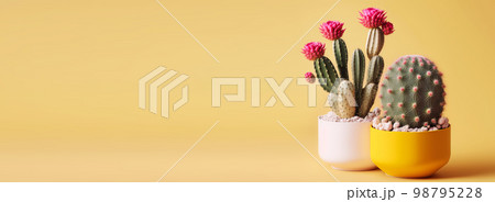 Surreal prickly cacti on pastel gradient banner. Floral creative concept. Generative AI illustration 98795228