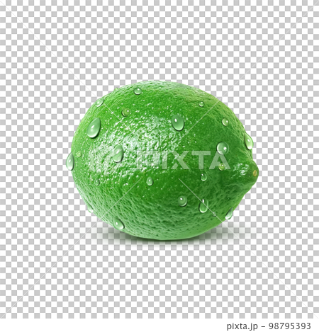 Lime illustration realistic 98795393