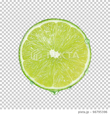 ライム イラスト リアル 98795396