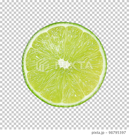 リアルなライムのイラスト 98795397