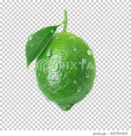 Illustration of realistic lime 98795405