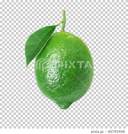 Lime illustration realistic 98795406