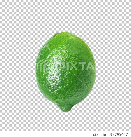 Illustration of realistic lime 98795407
