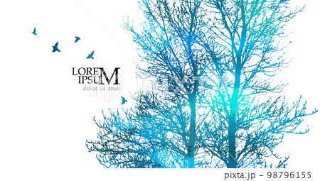Blue forest landscape with flying birds. Vector illustration 98796155