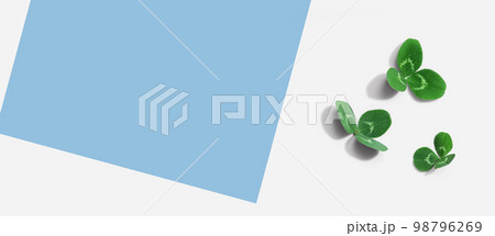 Clover leaves - St. Patricks Day 98796269