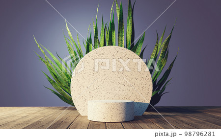 Snake plant with white stone podium - 3D 98796281