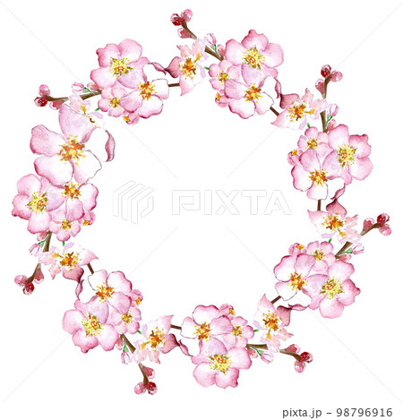 a wreath of cherry blossom branch watercolor a wreath of cherry blossom branch watercolor 98796916
