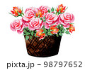 Basket Of Roses. Watercolor Illustration. Ideal for Wedding Projects 98797652