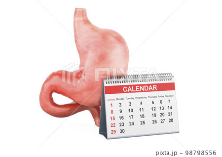 Desk calendar with stomach, 3D rendering 98798556