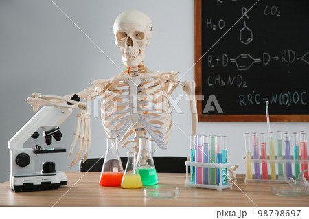 Skeleton and different chemistry glassware in classroom 98798697