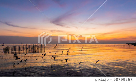 Landscape of sea coast during twilight time. Evening sunset. Landscape of sea coast during twilight time. Evening sunset. 98799267