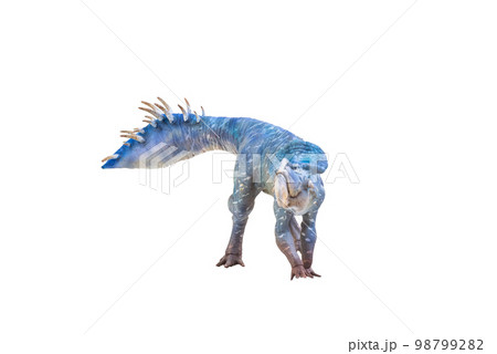 Protoceratops  , dinosaur on  isolated background 98799282