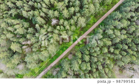A straight forest road. View from a drone. A straight forest road. View from a drone. 98799581