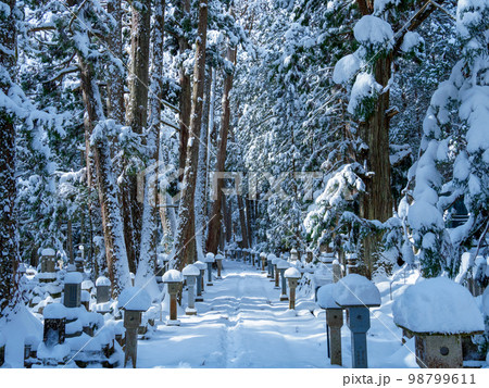 高野山の雪道 98799611