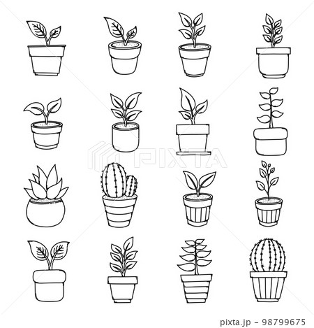 Shelves Set Graphic Color Isolated Plant Pot Sketch Illustration Vector  Stock Illustration - Download Image Now - iStock