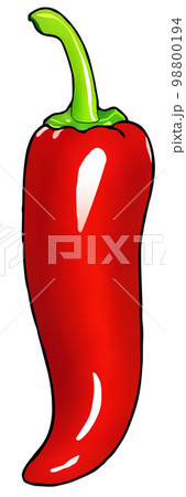 トウガラシ 98800194