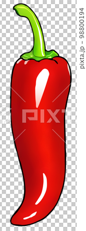 トウガラシ 98800194