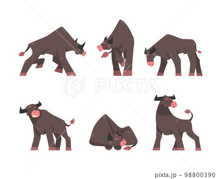 Bull with Horns as Domestic Cattle with Hoof in Different Pose Vector Set 98800390