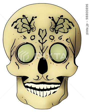 頭蓋骨_ドクロ 98800896