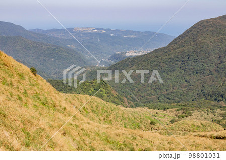 Sunny view of the beautiful landscape of Fish Road Historical Trail 98801031