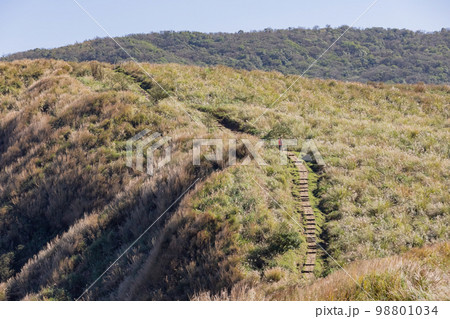 Sunny view of the Qingtiangang Grassland 98801034