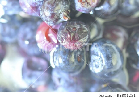Blueberries, background of berries, top view. Defocused blueberry background. Texture of bilberries, flat design. Horizontal macro image Blueberries, background of berries, top view. Defocused blueberry background. Texture of bilberries, flat design. Horizontal macro image 98801251