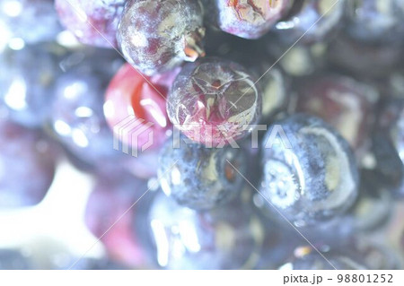 Blueberries, background of berries, top view. Defocused blueberry background. Texture of bilberries, flat design. Horizontal macro image Blueberries, background of berries, top view. Defocused blueberry background. Texture of bilberries, flat design. Horizontal macro image 98801252