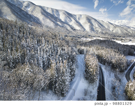 佐野坂峠からの美しい雪景色の森と白馬の眺め 長野県白馬村 (ドローンによる空撮) 佐野坂峠からの美しい雪景色の森と白馬の眺め 長野県白馬村 (ドローンによる空撮) 98801329