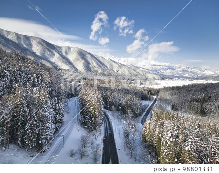 佐野坂峠からの美しい雪景色の森と白馬の眺め　長野県白馬村　（ドローンによる空撮） 98801331