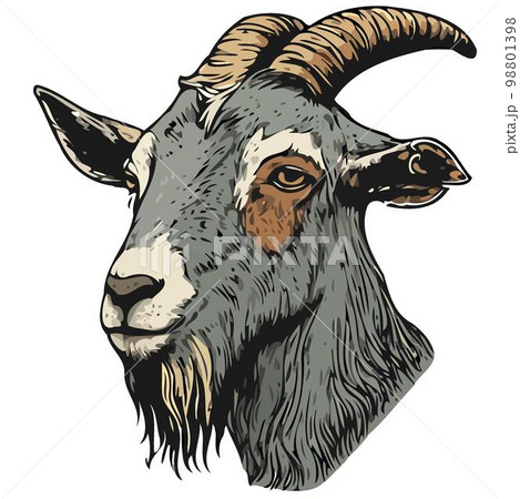goat mammal animal head 98801398