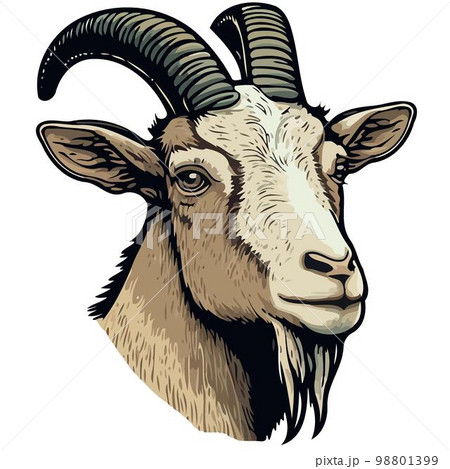 goat mammal animal head 98801399