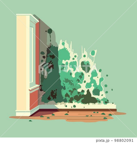 musty wall of contaminated room mold fungus 98802091
