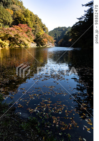 青空の下の鎌北湖と紅葉 98802470