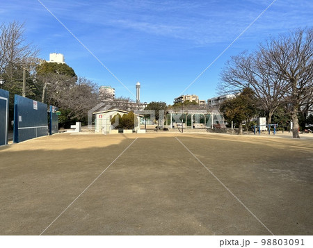 冬の朝の船堀スポーツ公園 冬の朝の船堀スポーツ公園 98803091