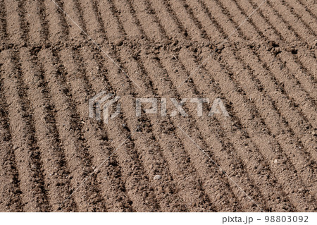 春の耕作が終わった畑 98803092