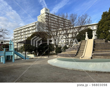 冬の朝の船堀スポーツ公園 98803098