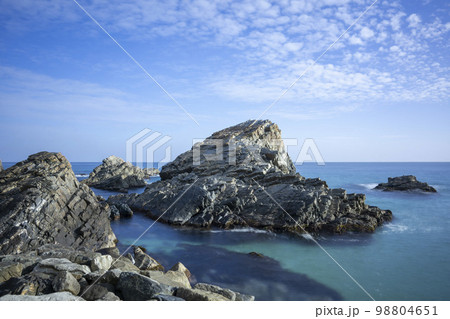 韓国 自然 風景 98804651