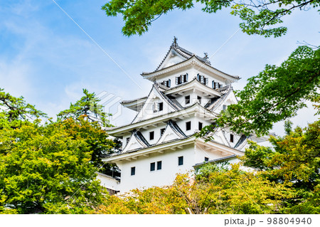 岐阜県 郡上八幡城　天守閣 98804940