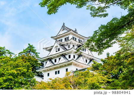 岐阜県 郡上八幡城　天守閣 98804941
