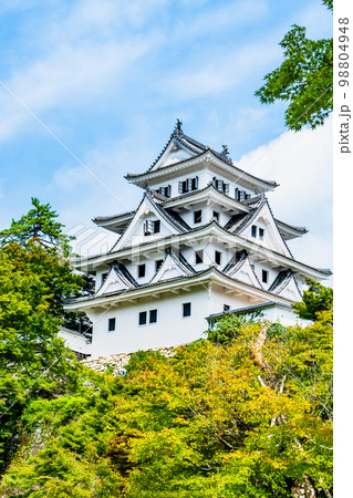 岐阜県 郡上八幡城 天守閣 岐阜県 郡上八幡城 天守閣 98804948