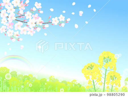 桜と菜の花 桜吹雪 虹 シャボン玉 青空 98805290