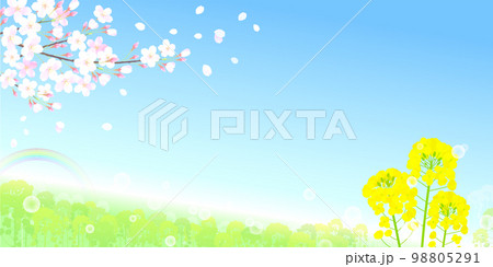 桜と菜の花 桜吹雪 虹 シャボン玉 青空 98805291