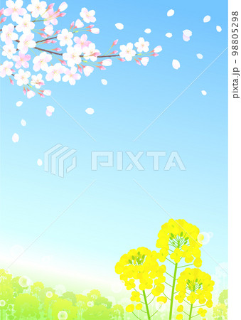桜と菜の花 桜吹雪 シャボン玉 青空 98805298