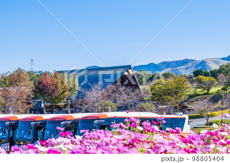 秋景色イメージ　観光バスと阿蘇ミルク牧場周辺風景「行楽地・観光名所で有名な阿蘇ミルク牧場周辺風景」 98805404