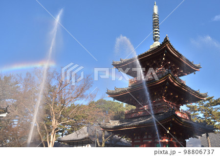 消防訓練　文化財防火デー　鶴林寺三重塔への放水で虹が出た 98806737
